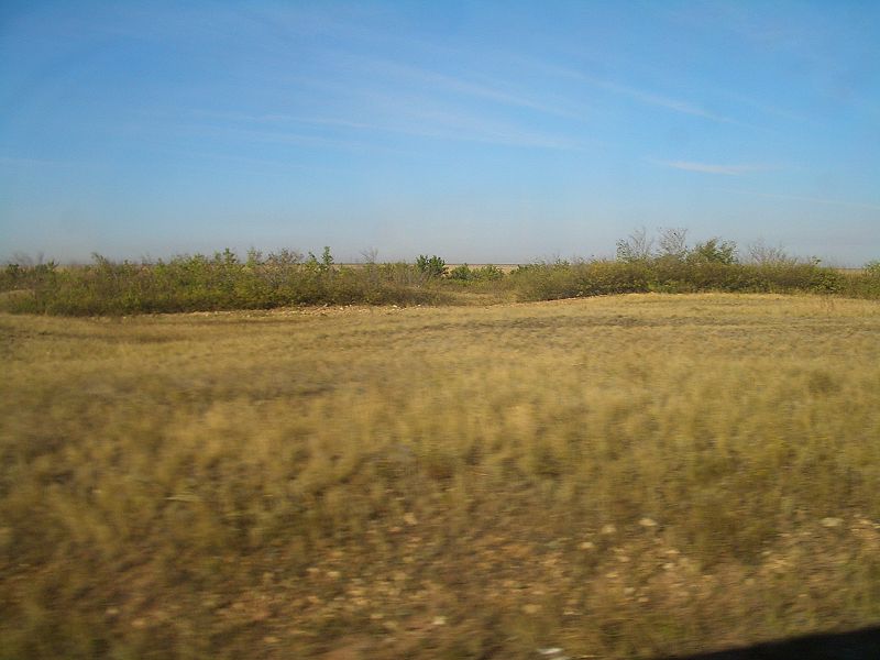 800px-astana-steppe-7749.jpg