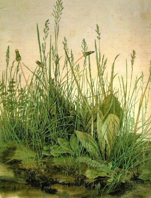 durer.jpg