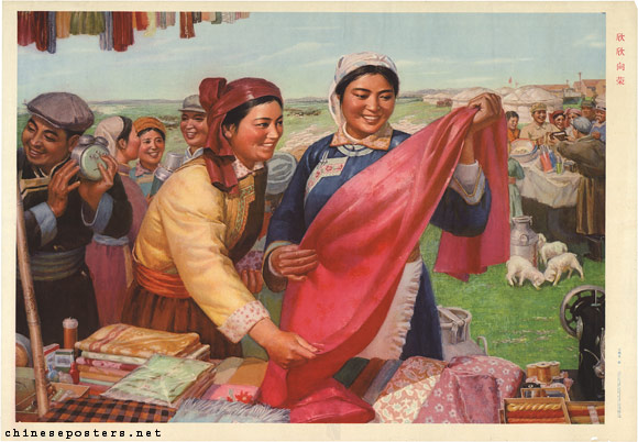 e15-479.jpg