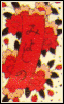 kintengu_03h.png