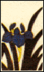 kintengu_05a.png