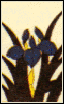 kintengu_05d.png