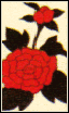 kintengu_06c.png