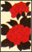 kintengu_06d.png