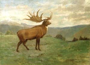 knight_megaloceros.jpg