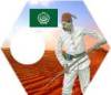 arabiapoborowifellahowie.jpg