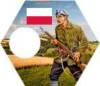 polska-armia-ochotnicza.jpg