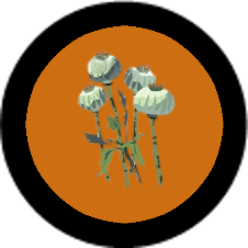 surowceopium.png